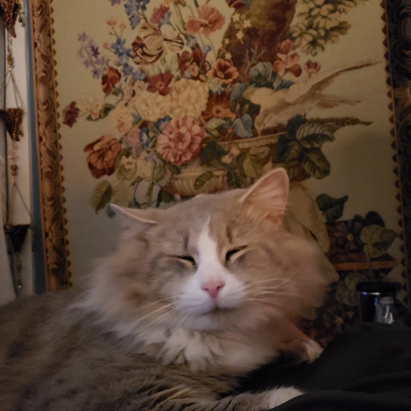 Meet your Posher, Robin - Picture 4 of 10